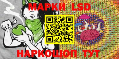 винт Пенза