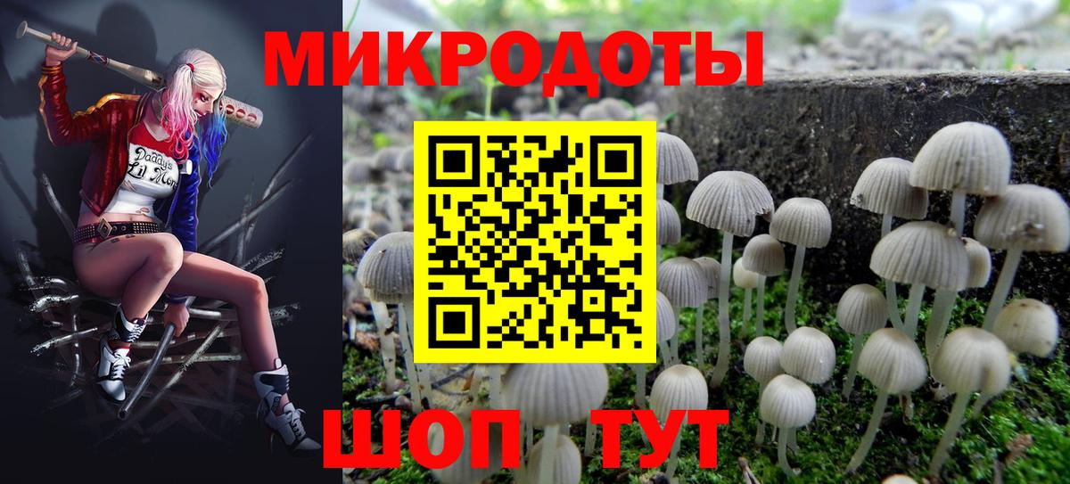 Псилоцибиновые грибы прущие грибы Северобайкальск
